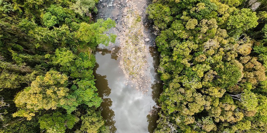 Ranomafanas landskaber set fraoven