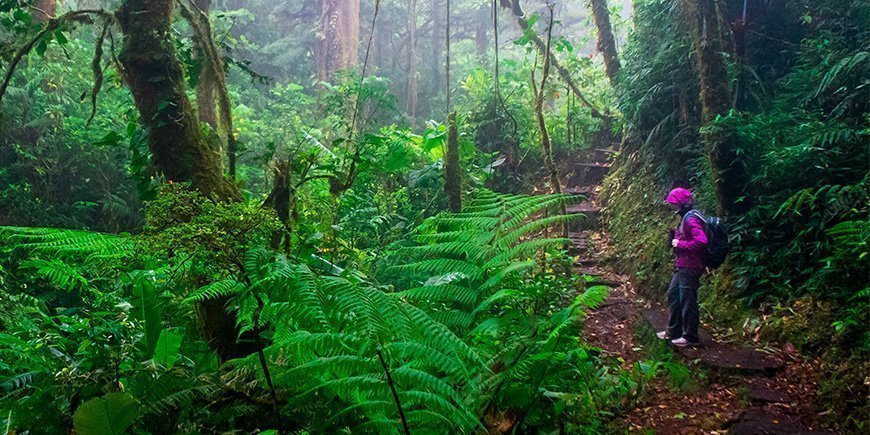 Kvinde iført regntøj i Monteverde, Costa Rica