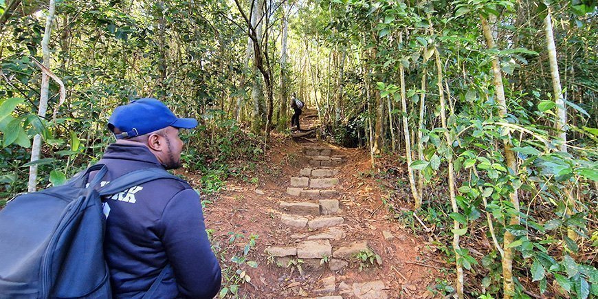 Guide viser vejen i Andasibe-Mantadia Nationalpark i Madagaskar