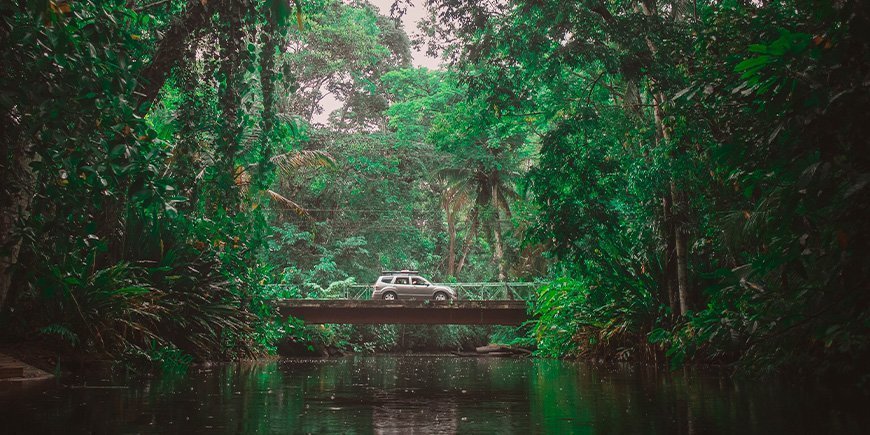Bil kører gennem junglen i Costa Rica