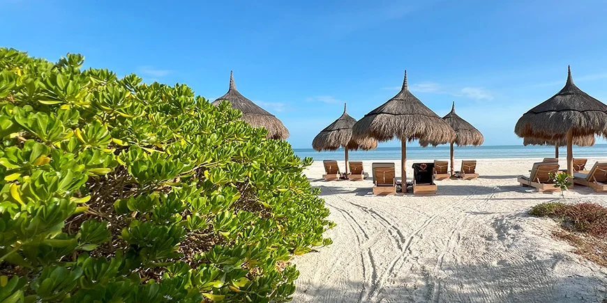 Strandstole med udsigt på Isla Holbox
