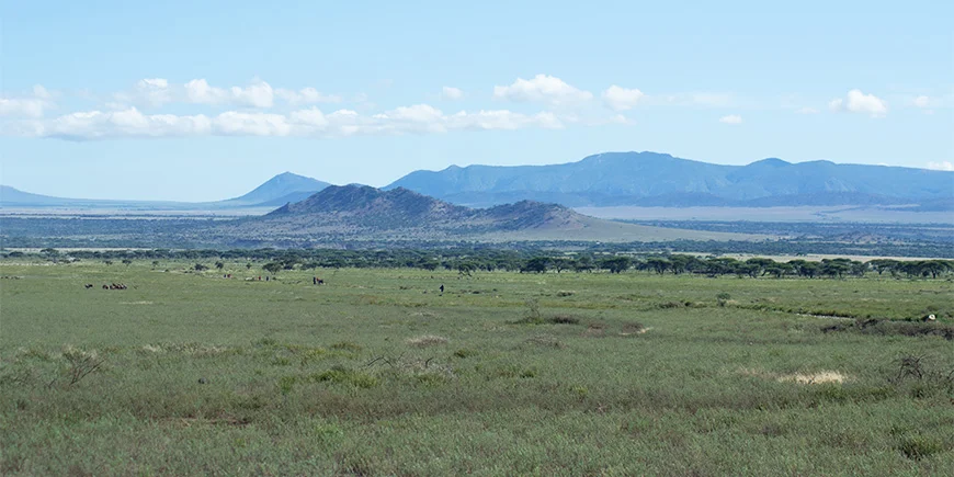 De åbne sletter i Serengeti