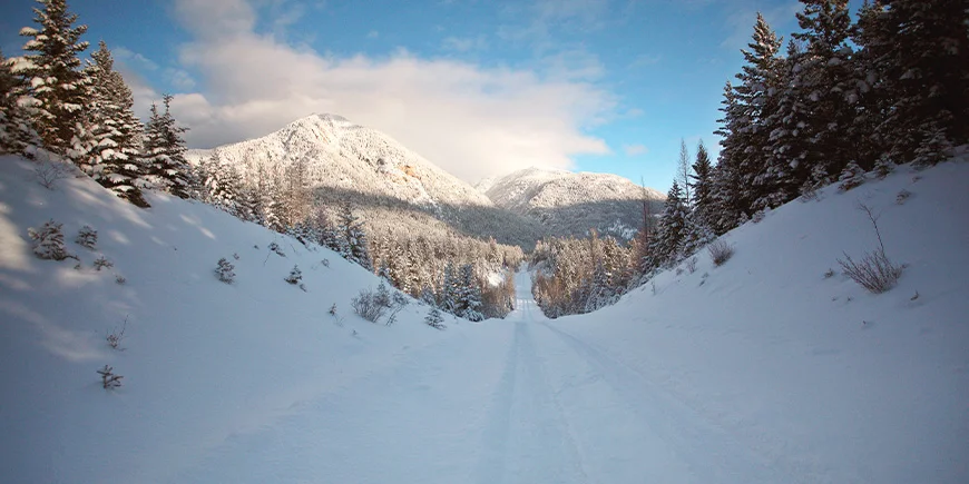 Vinterlandskaber i Rocky Mountains