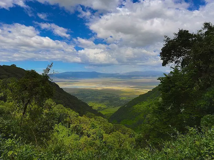 Oversigtsbillede fra Ngorongoro i Tanzania