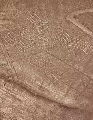 Edderkoppens Nazca-linjer i den peruvianske ørken