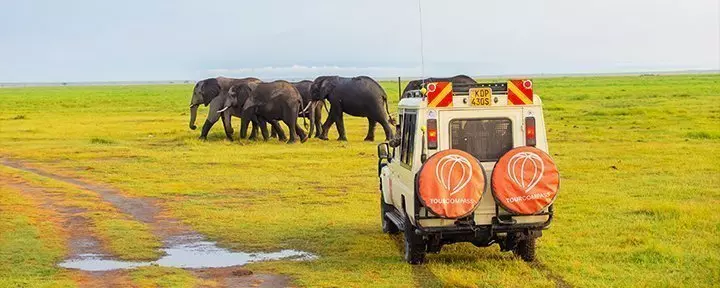 Safaribil og elefanter i Amboseli Nationalpark, Kenya