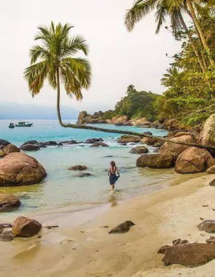 Palmetræ på stranden på den smukke ø Ilha Grande, Brasilien