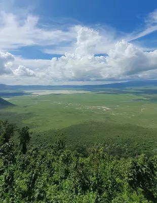 Udsigt over Ngorongoro-krateret i Tanzania