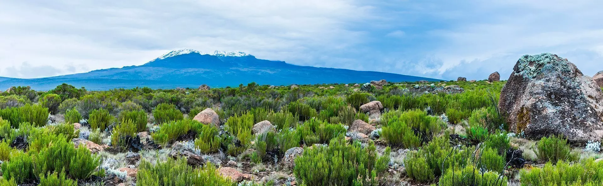 Udsigt fra Lemosho-ruten til Kilimanjaro