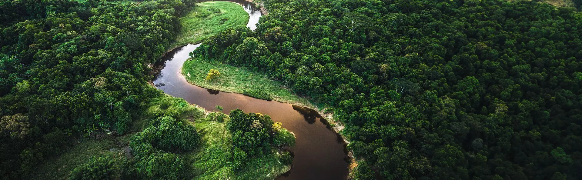 Luftfoto af Amazonas regnskov i Manaus, Brasilien