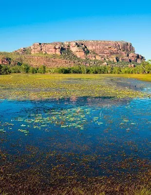Udsigt til Nourlangie fra Anbangbang Billabong i Kakadu Nationalpark, Australien