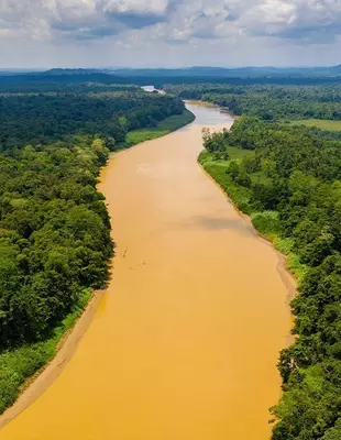 En overskyet dag ved Kinabatangan-floden på Borneo