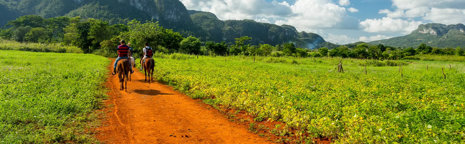 Ridning i Vinales, Cuba