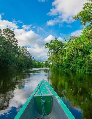 En bådtur ind i dybet af Amazonjunglen i Ecuador